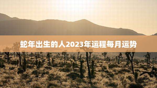 蛇年出生的人2023年运程每月运势