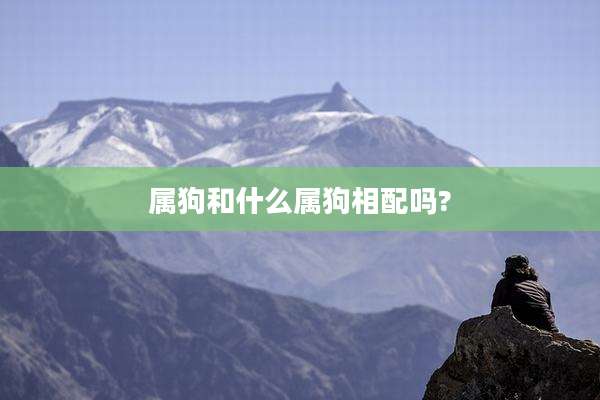 属狗和什么属狗相配吗?