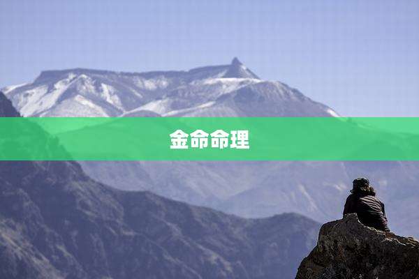 金命命理