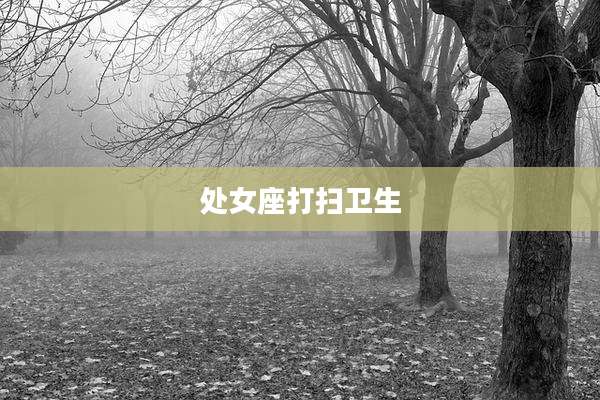 处女座打扫卫生
