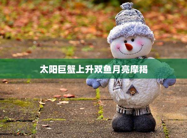 太阳巨蟹上升双鱼月亮摩羯