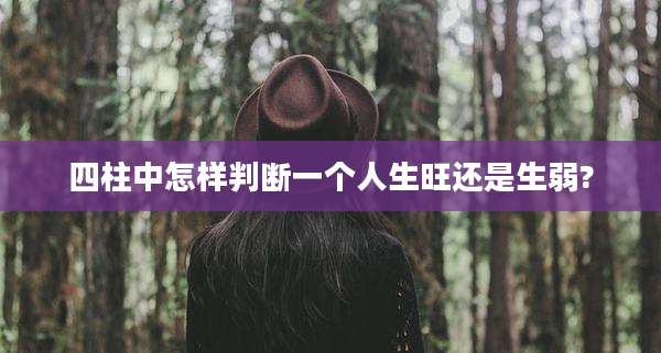 四柱中怎样判断一个人生旺还是生弱?