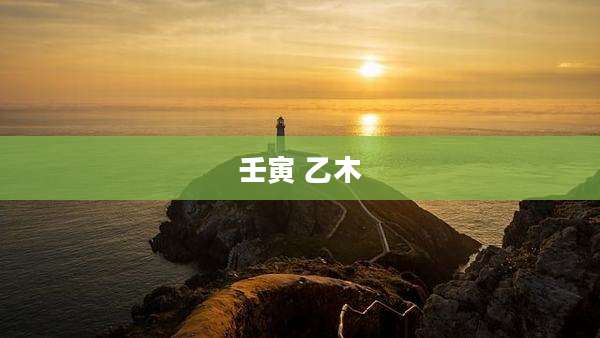 壬寅 乙木