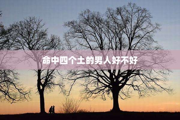 命中四个土的男人好不好