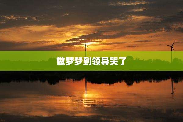 做梦梦到领导哭了