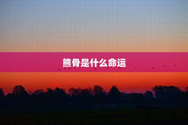熊骨是什么命运