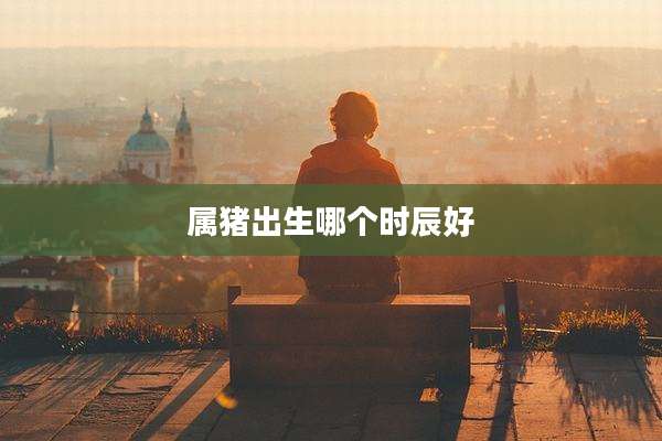 属猪出生哪个时辰好