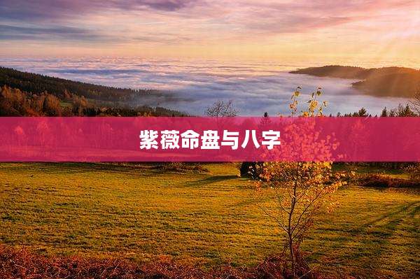 紫薇命盘与八字