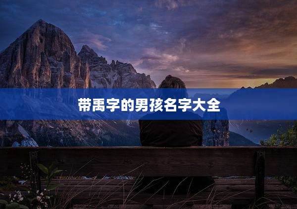带禹字的男孩名字大全