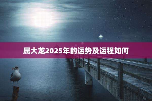 属大龙2025年的运势及运程如何