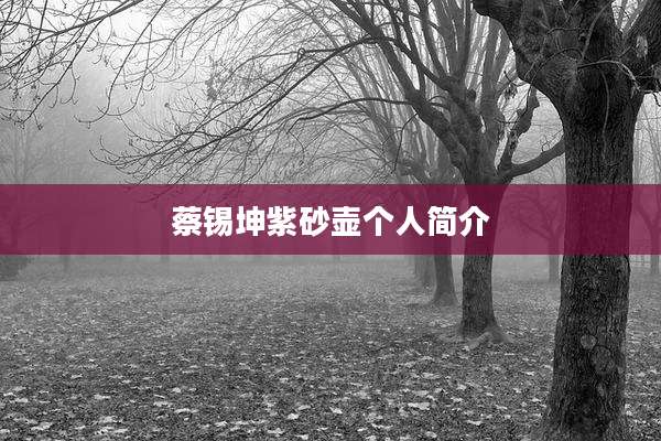 蔡锡坤紫砂壶个人简介