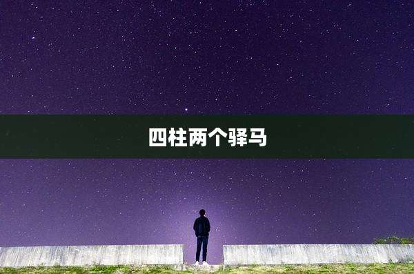 四柱两个驿马