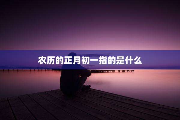 农历的正月初一指的是什么