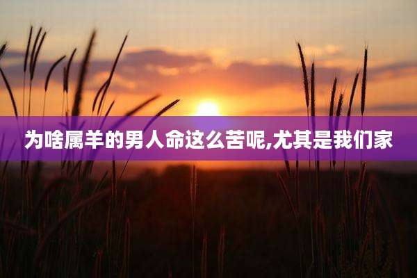 为啥属羊的男人命这么苦呢,尤其是我们家