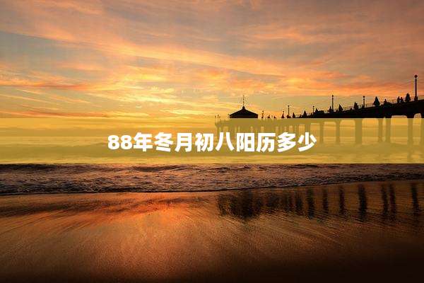 88年冬月初八阳历多少