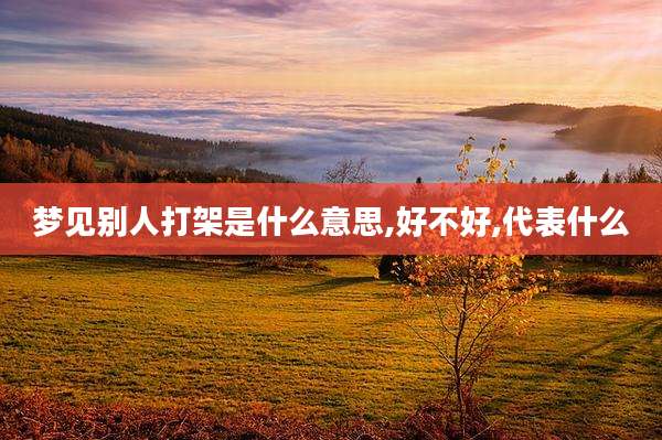 梦见别人打架是什么意思,好不好,代表什么