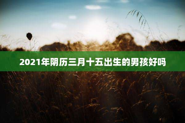 2021年阴历三月十五出生的男孩好吗