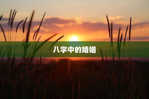 八字中的婚姻