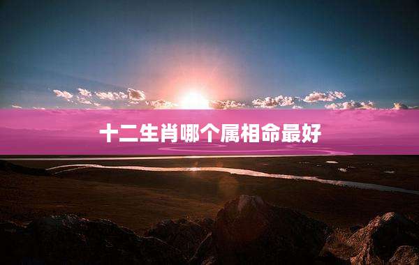 十二生肖哪个属相命最好