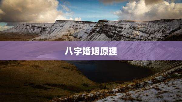 八字婚姻原理
