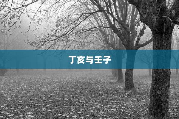 丁亥与壬子