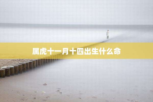属虎十一月十四出生什么命