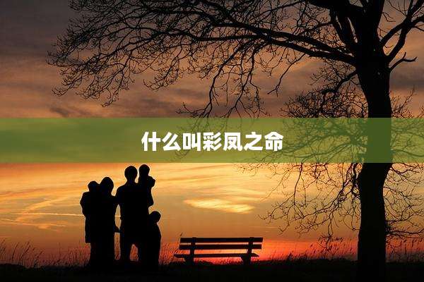 什么叫彩凤之命