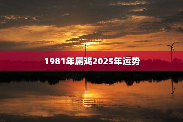 1981年属鸡2025年运势