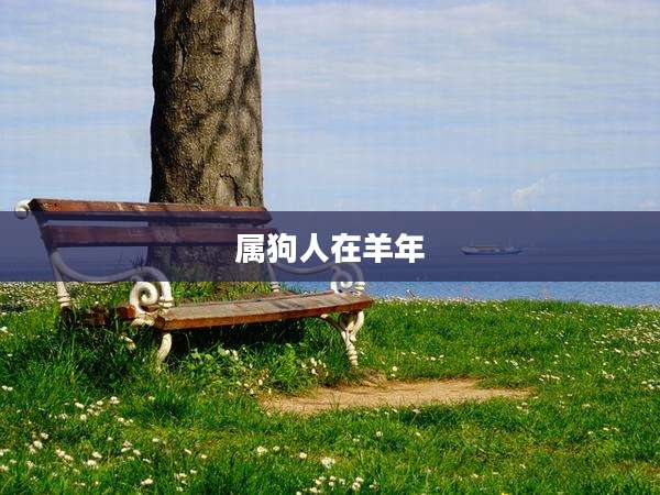 属狗人在羊年