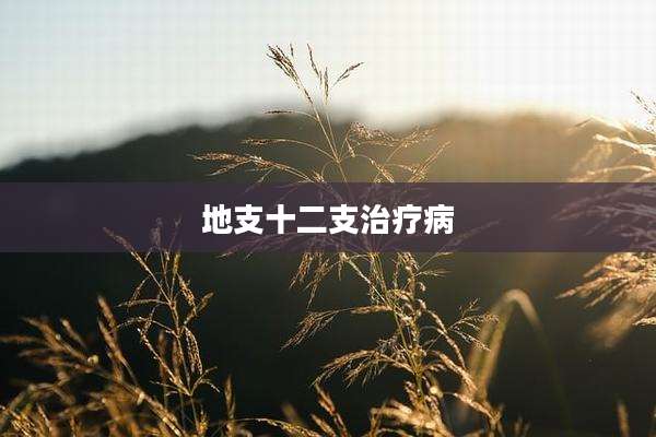 地支十二支治疗病