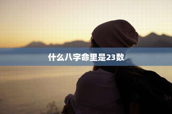 什么八字命里是23数