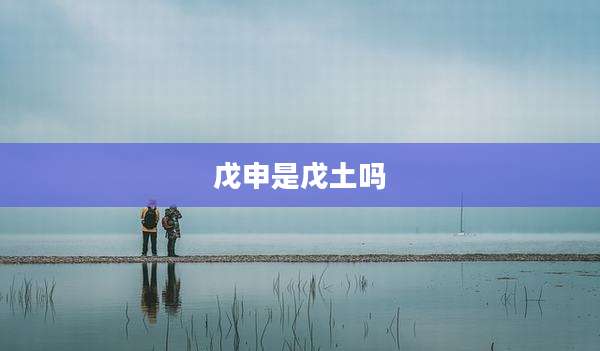 戊申是戊土吗