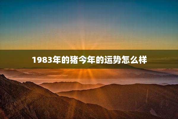 1983年的猪今年的运势怎么样