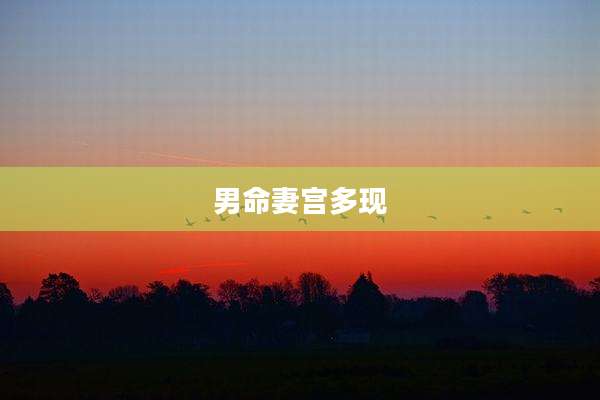 男命妻宫多现