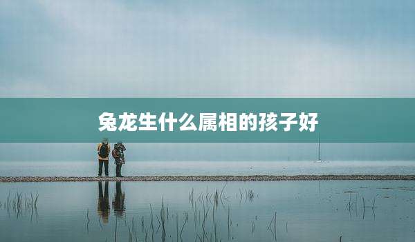 兔龙生什么属相的孩子好