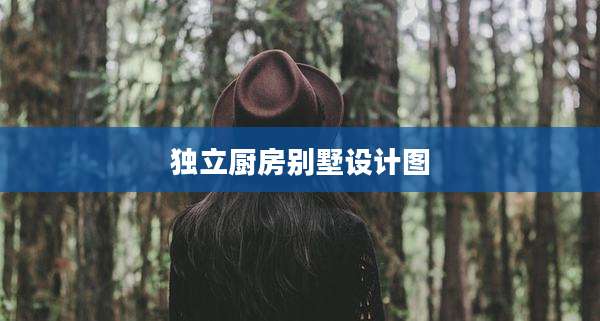 独立厨房别墅设计图