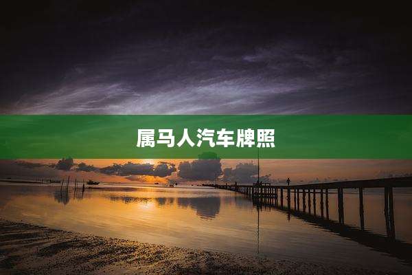属马人汽车牌照