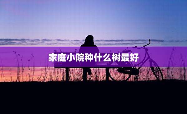 家庭小院种什么树最好