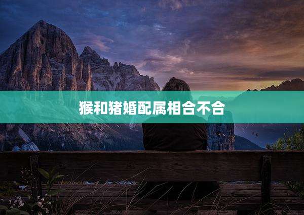 猴和猪婚配属相合不合