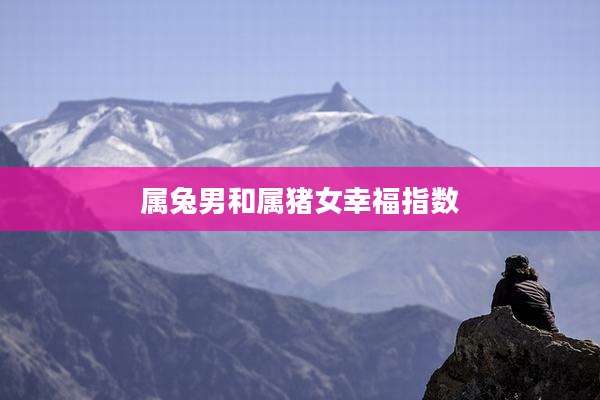 属兔男和属猪女幸福指数
