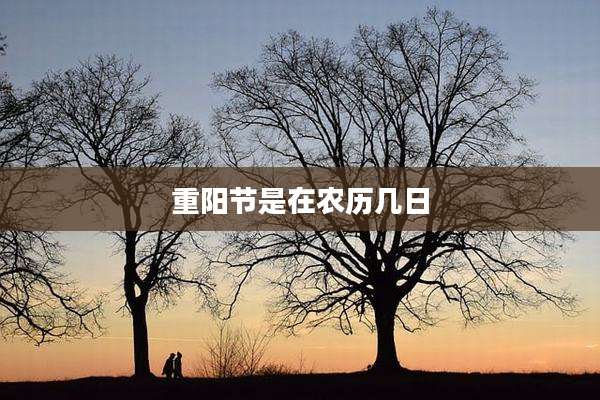 重阳节是在农历几日