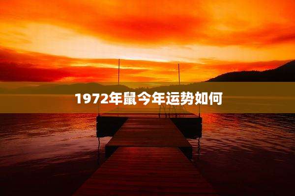 1972年鼠今年运势如何