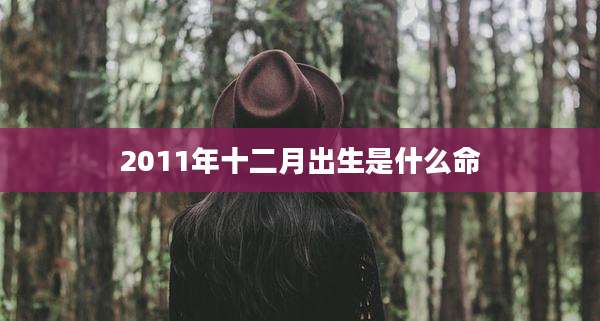 2011年十二月出生是什么命