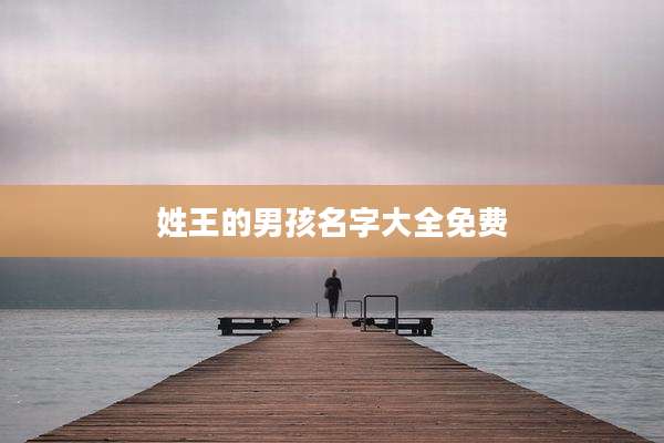 姓王的男孩名字大全免费