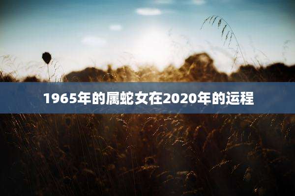 1965年的属蛇女在2020年的运程