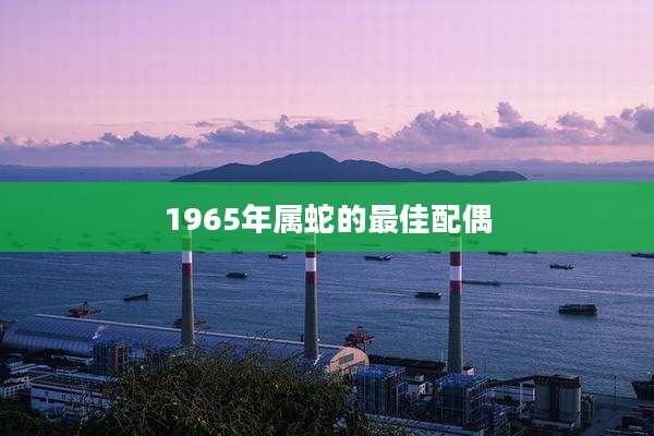 1965年属蛇的最佳配偶