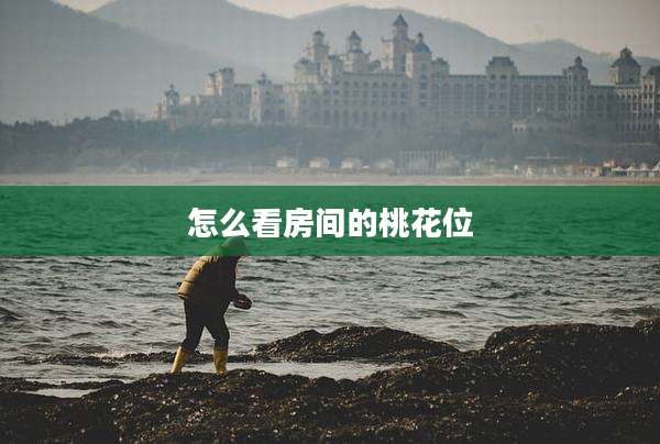 怎么看房间的桃花位
