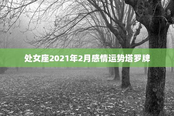 处女座2021年2月感情运势塔罗牌