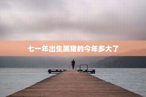 七一年出生属猪的今年多大了