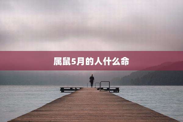 属鼠5月的人什么命